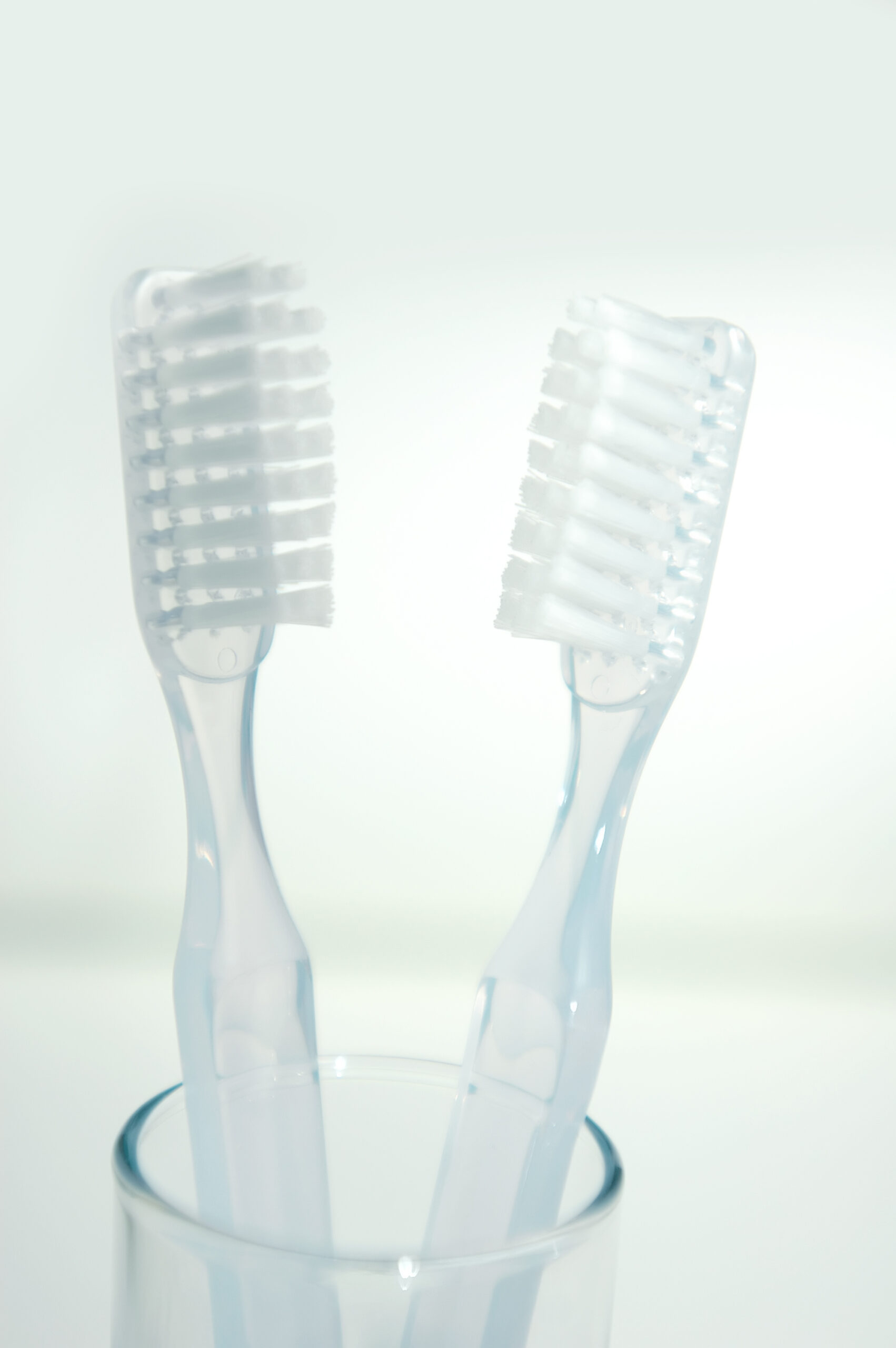 Dentistry and Oral Health for pets, two clear plastic toothbrushes